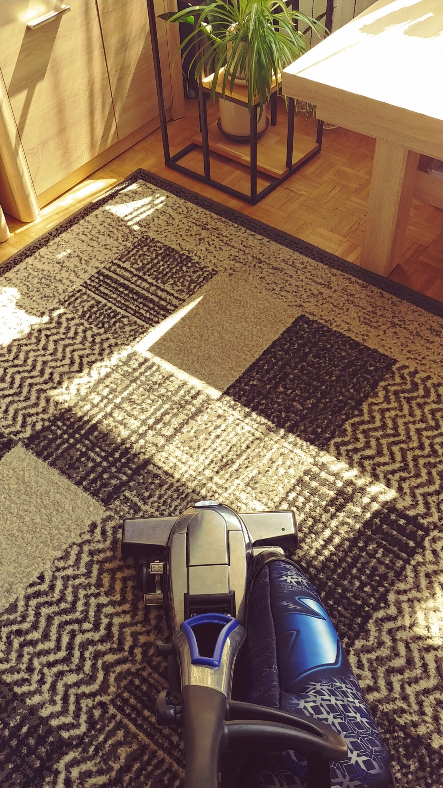 Pranie dywanu w domu